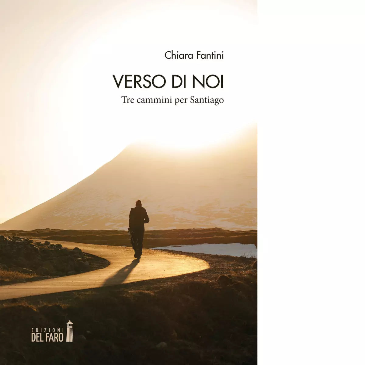 VERSO DI NOI TRE CAMMINI PER SANTIAGO di Fantini Chiara