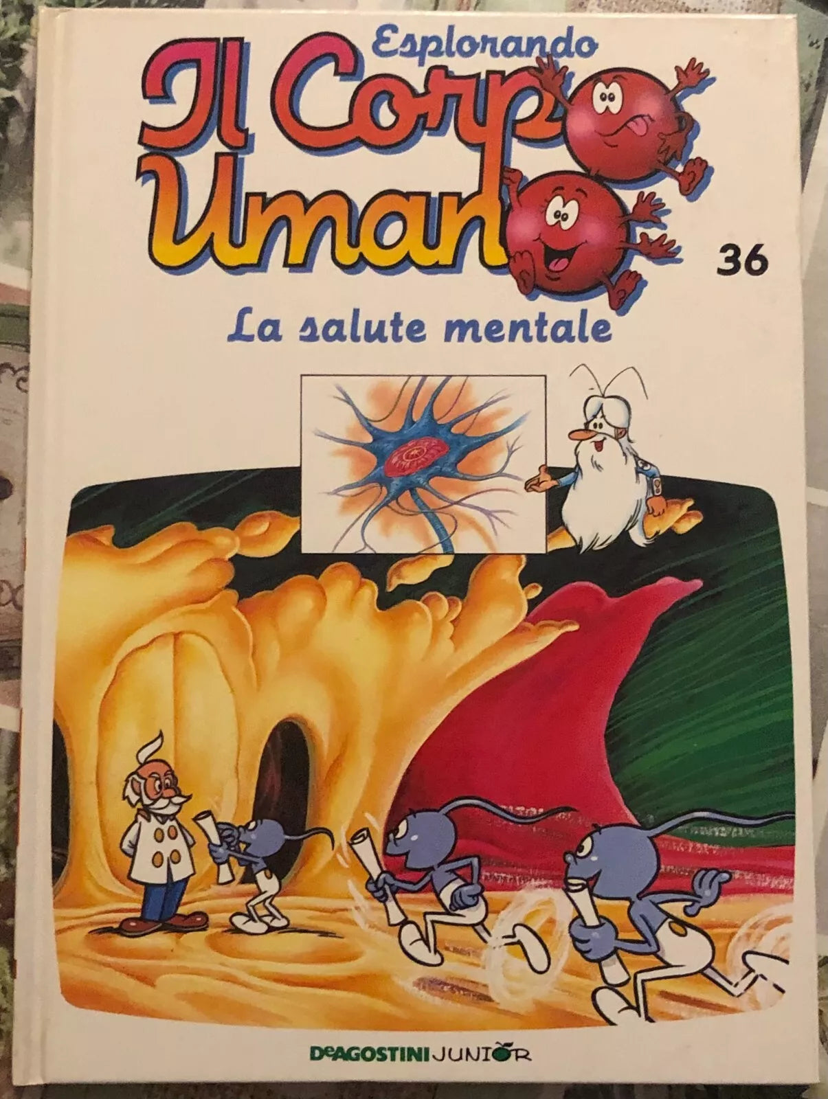Esplorando il corpo umano n 36