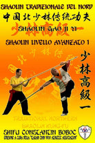 Shaolin Tradizionale del Nord Vol 8