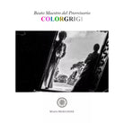 Colorgrigi di Beato Maestro Del Provvisorio, 2020, Youcanprint