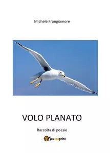 Volo planato di Michele Frangiamore, 2016, Youcanprint