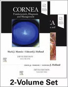 Cornea