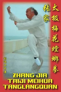 TAIJI MEIHUA TANGLANG QUAN di David Liu