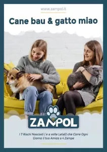 Cane Bau Gatto Miao I 7 Rischi Nascosti