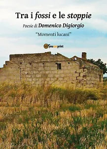 Trai i fossi e le stoppie di Domenico Digiorgio, 2018, Youcanprint