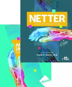 Netter Atlante di anatomia umana