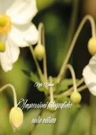 Impressioni fotografiche sulla natura di Raffy Villaschi, 2015, Youcanprint