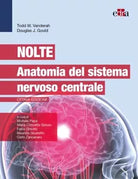 Nolte