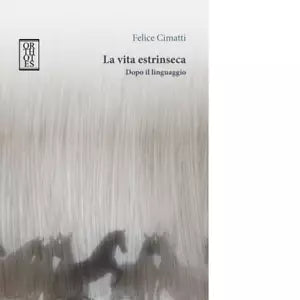 La vita estrinseca Dopo il linguaggio di Felice Cimatti