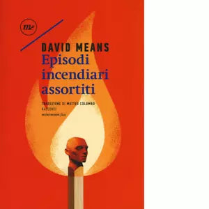 Episodi incendiari assortiti di David Means