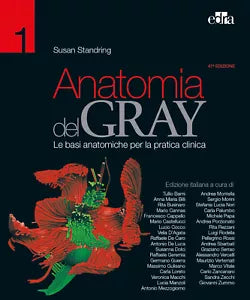 Anatomia del Gray Le basi anatomiche per la pratica clinica vol 1