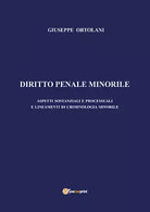 Diritto penale minorile. Aspetti sostanziali e processuali e lineamenti di crimi