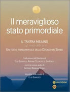 Il Meraviglioso Stato Primordiale di Aa.vv., 2021, Om Edizioni