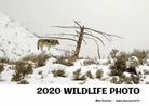 2020 WILDLIFE PHOTO di Max Venturi - Www.maxventuri.it, 2021, Youcanprint