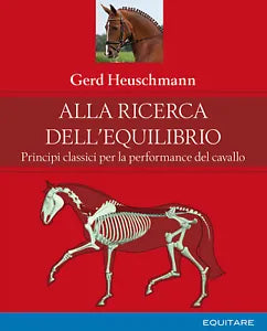 Alla ricerca dell equilibrio