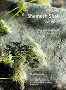 Shemesh Sheli Il mio sole Un viaggio personale e moderno della cucina