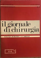 Il giornale di chirurgia n. 2 di G. Di Matteo E G. C. Bressan, 1982, Edizioni