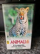 Animali - Il Leopardo principe della notte - DeAgostini - 1994 - F