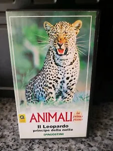 Animali - Il Leopardo principe della notte - DeAgostini - 1994 - F