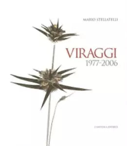 Mario Stellatelli
