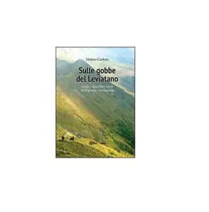 Sulle gobbe del Leviatano - Matteo Carletti, 2013, Youcanprint
