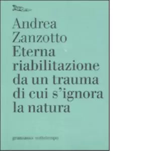 Eterna riabilitazione da un trauma di cui s ignora la natura di Andrea Zanzotto
