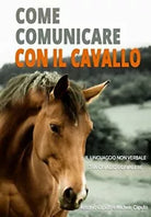 Come Comunicare Con Il Cavallo