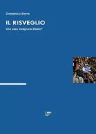 Il risveglio di Domenico Barra, 2016, Youcanprint
