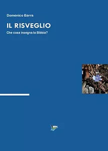 Il risveglio di Domenico Barra, 2016, Youcanprint