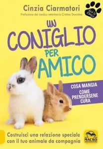 Un coniglio per amico Costruisci una relazione speciale con il tuo animale da c