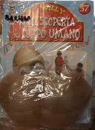 Alla scoperta del corpo umano con Willy n 57 Pettorali di Aa vv