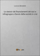 Lo statuto dei finanziamenti dei soci e infragruppo a favore della societa...