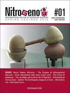 Nitrogeno 01 di Aa.vv., 2020, Fontana Editore