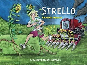 Strello di Osvaldo Gaiotto, 2016, Youcanprint