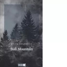 Bull Mountain di Brian Panowich