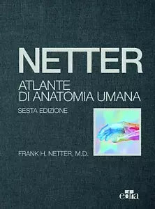 Netter