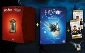 HARRY POTTER E LA PIETRA FILOSOFALE 1° DVD + cofanetto vuoto + figurine