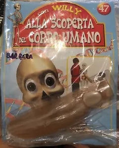 Alla scoperta del corpo umano con Willy n 47 Muscoli braccio di Aa vv