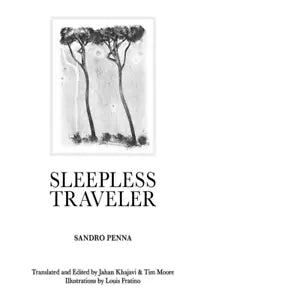 Sleepless traveler di Sandro Penna