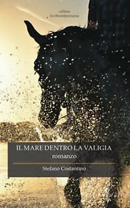 Il mare dentro la valigia di Costantino Stefano, 2019, Chance Edizioni