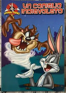 Un coniglio indiavolato Looney Tunes di Aa vv