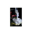 Il diavolo e anche donna - Alessandro Amadori, 2018, Licosia
