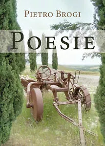 Poesie di Pietro Brogi, 2019, Youcanprint