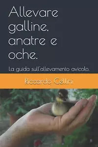 Allevare galline, anatre e oche. La guida sull’allevamento avicolo. di Riccardo