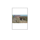 Via Francigena. Passo della Cisa-Roma - Itineraria, 2013, Youcanprint