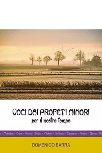 Voci dai Profeti Minori di Domenico Barra, 2021, Youcanprint