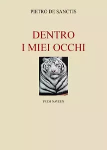 Dentro i miei occhi di Pietro De Sanctis