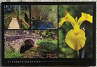 Lotto 4 cartoline Fiumefreddo di Sicilia di Aa.vv., 2011, Edizioni Enjoy