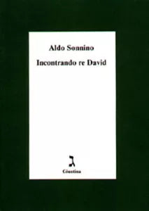 Incontrando re David di Aldo Sonnino