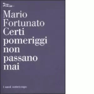 Certi pomeriggi non passano mai di Mario Fortunato